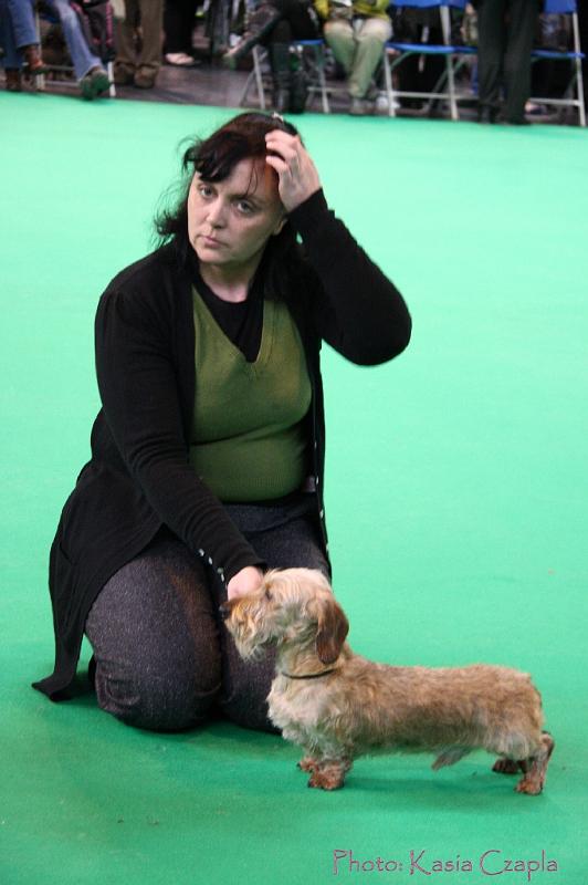 Crufts2011_2 527.jpg